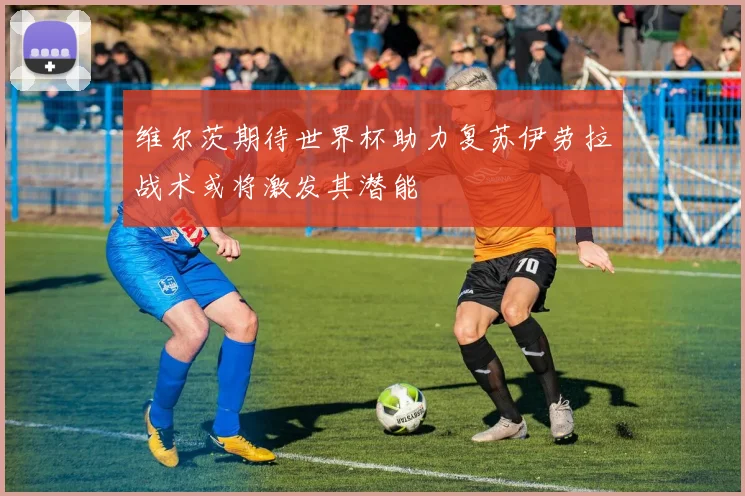 维尔茨期待世界杯助力复苏伊劳拉战术或将激发其潜能