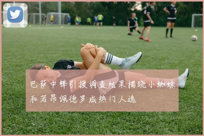 巴萨中锋引援调查结果揭晓小蜘蛛和若昂佩德罗成热门人选